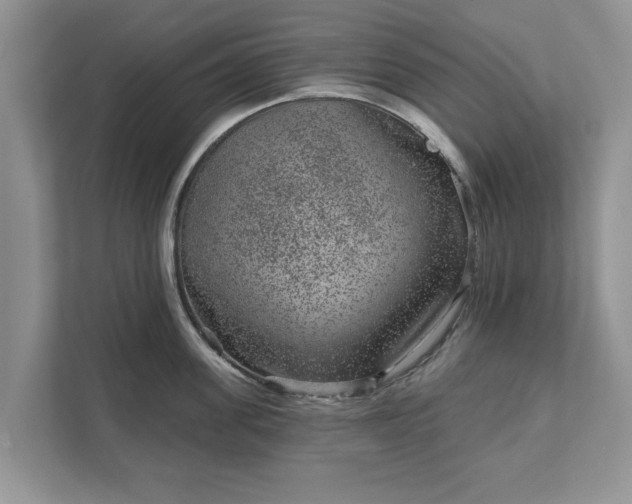 X0000111870955200907301114