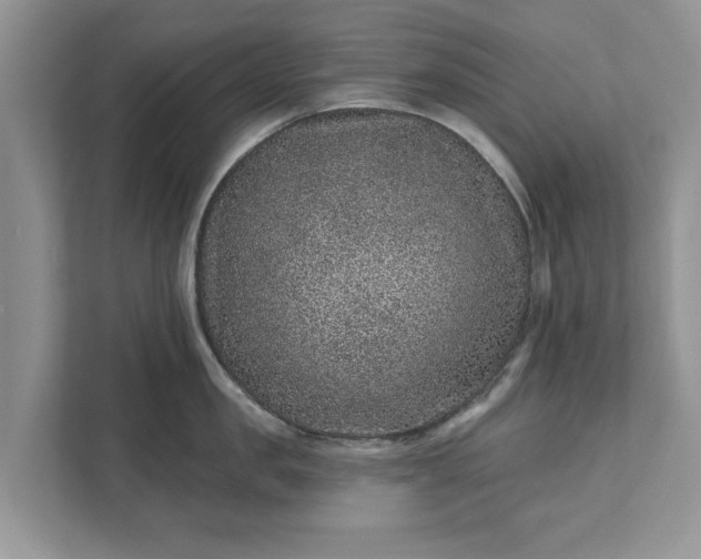 X0000111870957200907301114