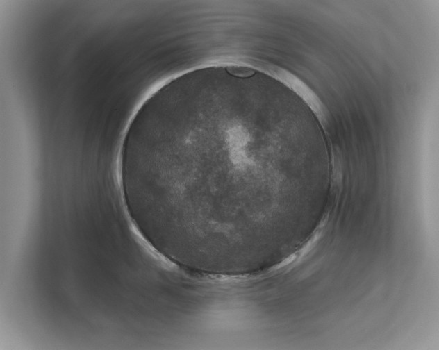 X0000111870958200907301114