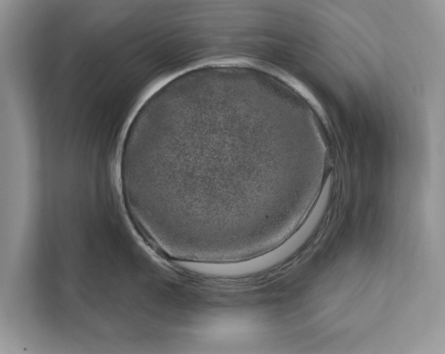 X0000111870959200907301114