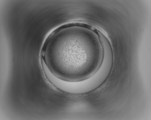 X0000111870960200907301114