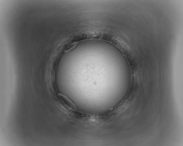 X0000111870961200907301113