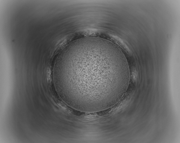 X0000111870964200907301113