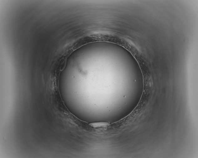 X0000111870965200907301113