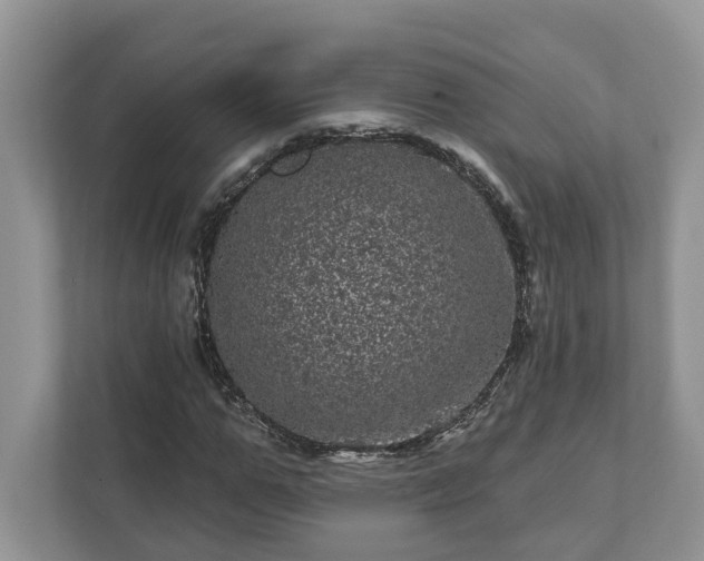 X0000111870967200907301113