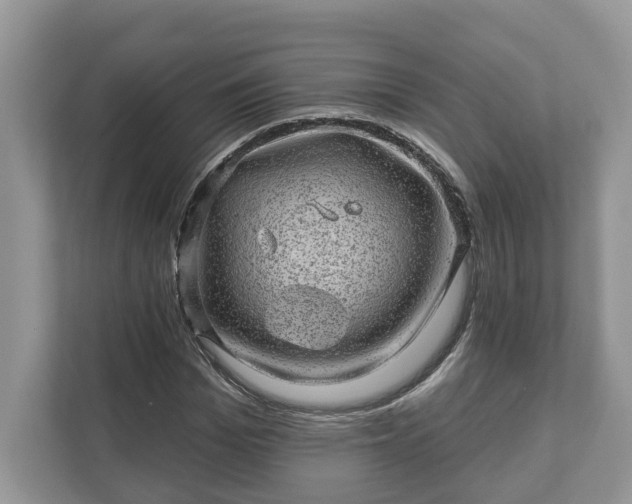 X0000111870969200907301113