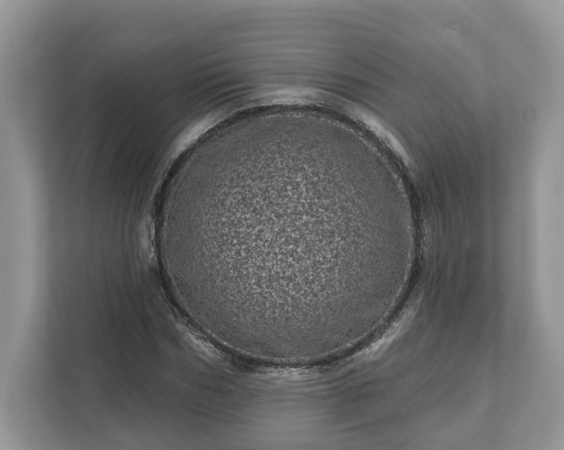 X0000111870970200907301113