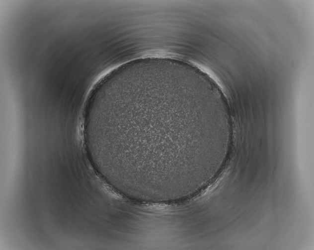 X0000111870971200907301113