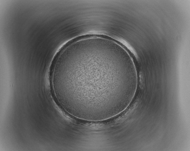 X0000111870972200907301113