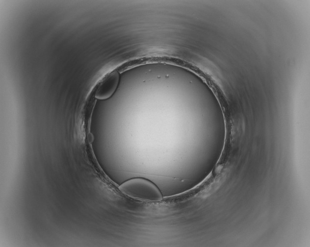 X0000111870973200907301113