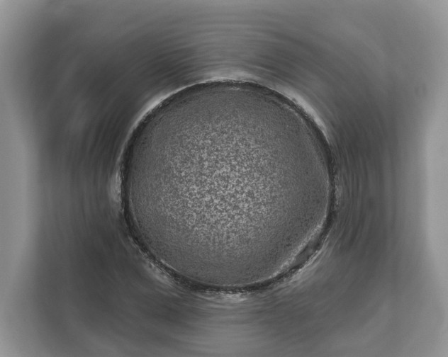 X0000111870975200907301113