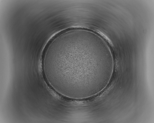 X0000111870976200907301113