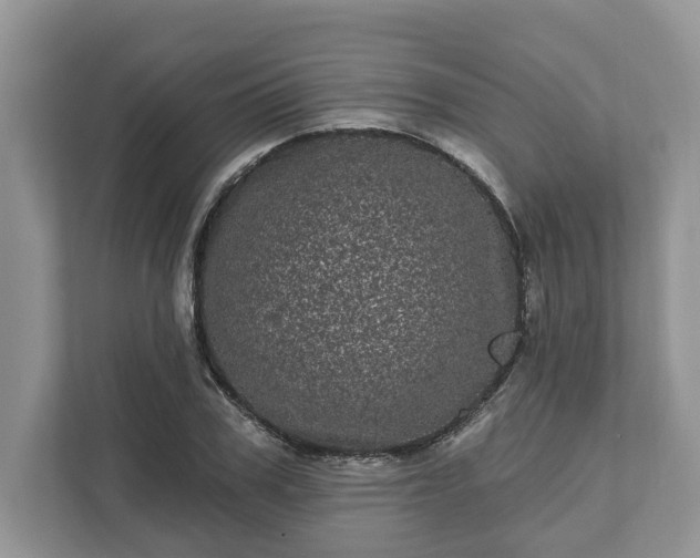 X0000111870979200907301113