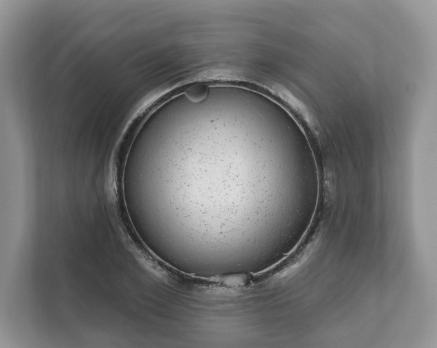 X0000111870981200907301113