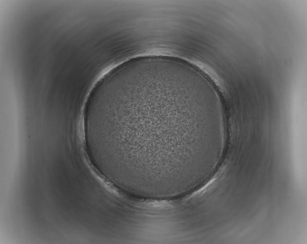 X0000111870982200907301113