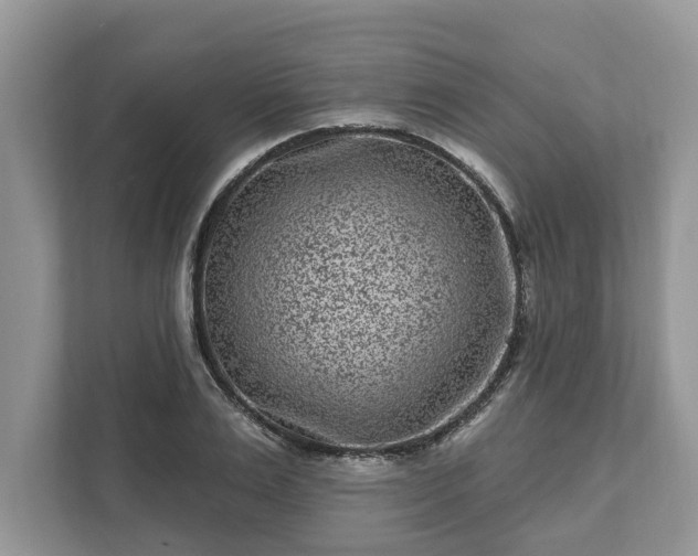 X0000111870983200907301113