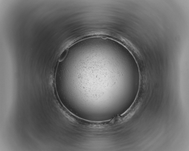 X0000111870985200907301112