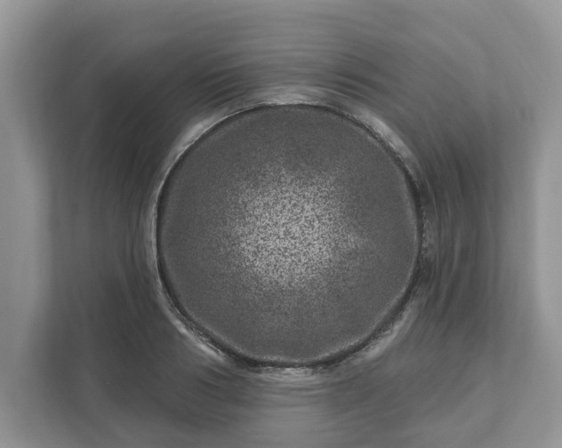 X0000111870986200907301112