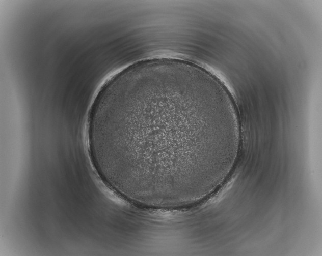 X0000111870987200907301112