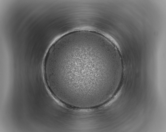 X0000111870989200907301112