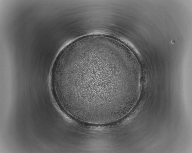 X0000111870991200907301112