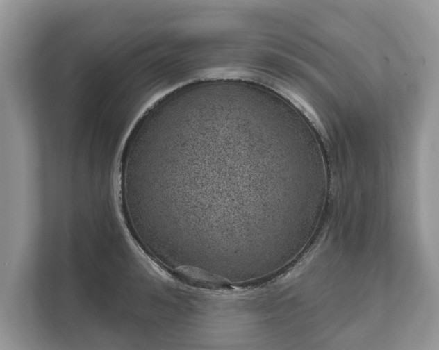 X0000111870992200907301112