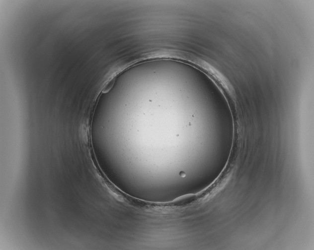 X0000111870993200907301112