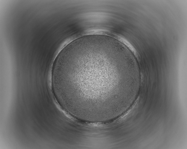 X0000111870994200907301112