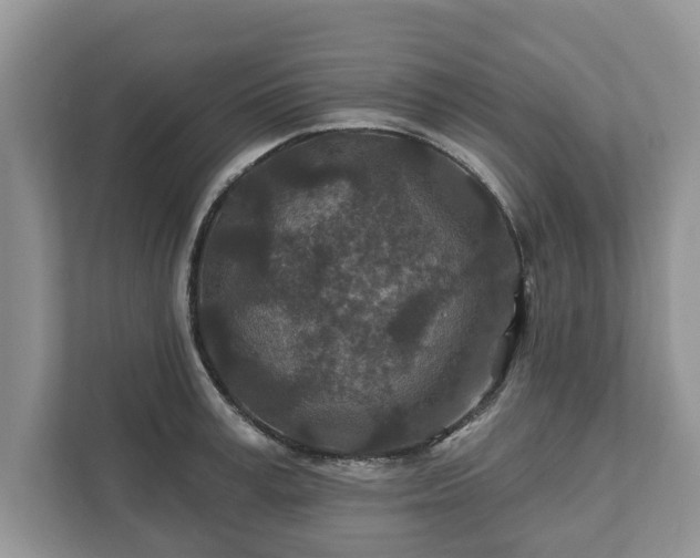 X0000111870995200907301112