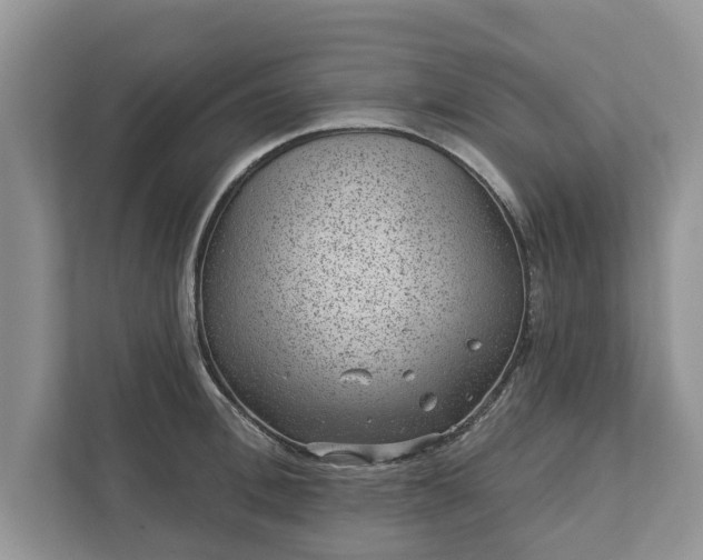 X0000111870996200907301112