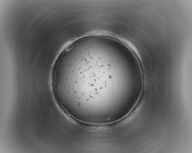 X0000111870997200907301112