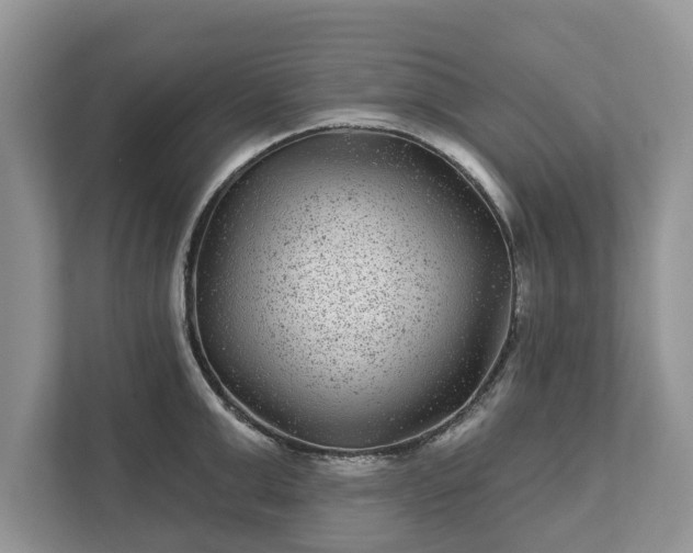 X0000111870999200907301112