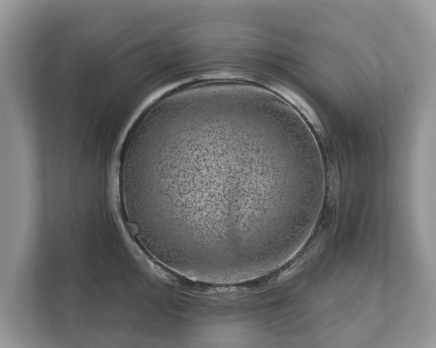 X0000111871000200907301112