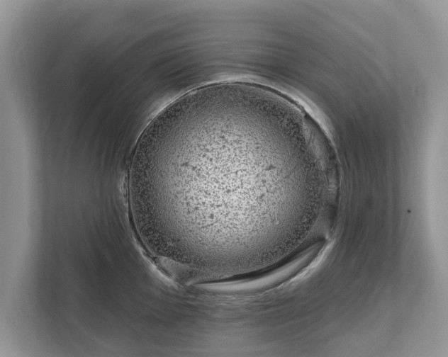 X0000111871001200907301112