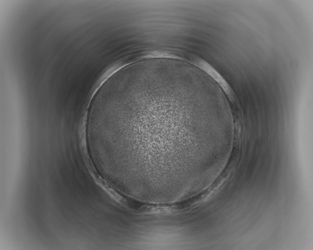 X0000111871002200907301112