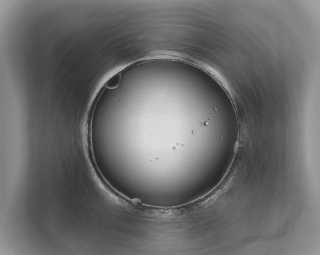 X0000111871003200907301112