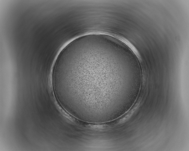 X0000111871004200907301112