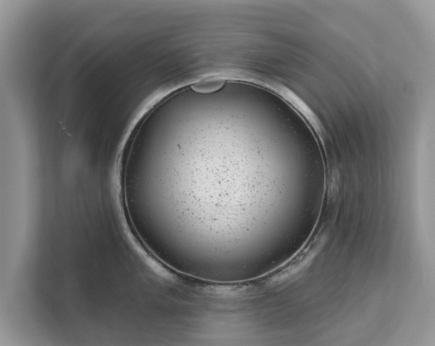 X0000111871005200907301112