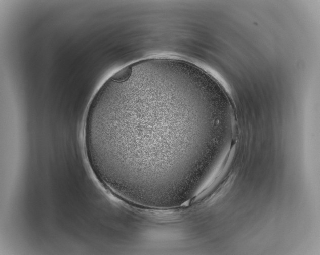 X0000111871007200907301112