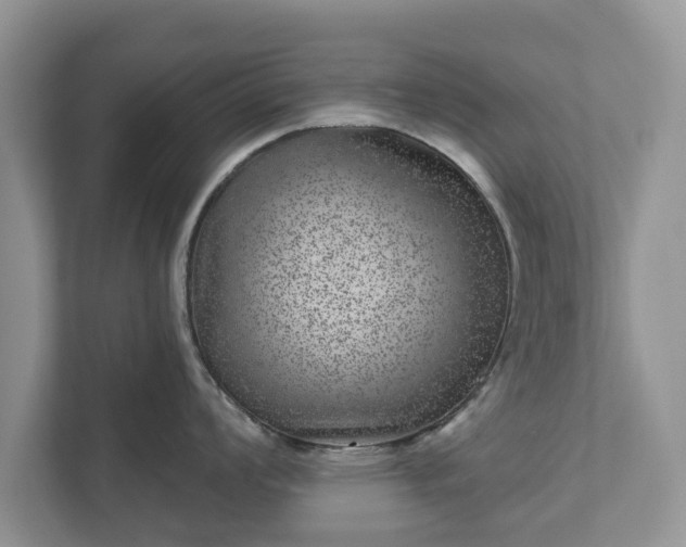 X0000111871008200907301112