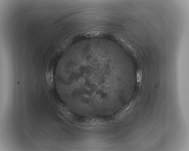 X0000111871011200907301112