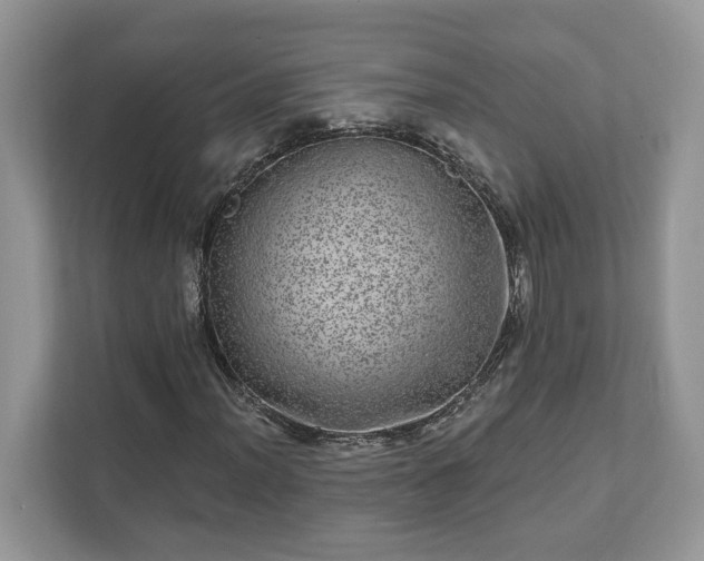 X0000111871012200907301112