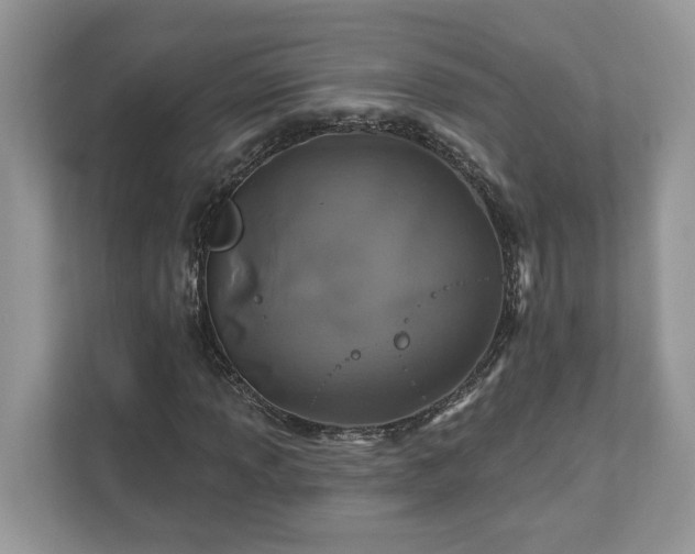 X0000111871013200907301112