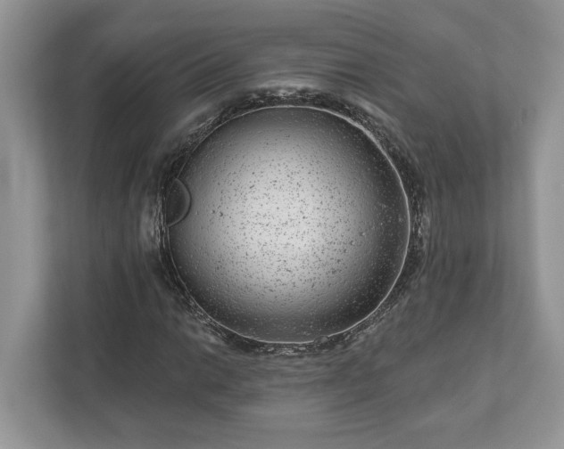 X0000111871014200907301112