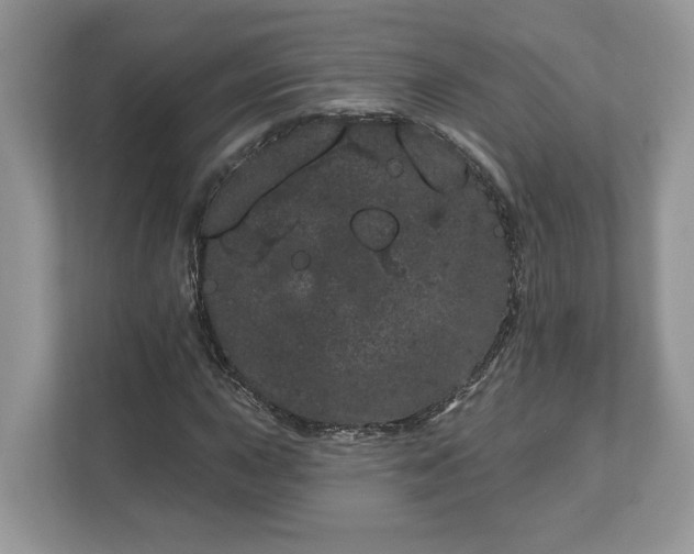 X0000111871015200907301112