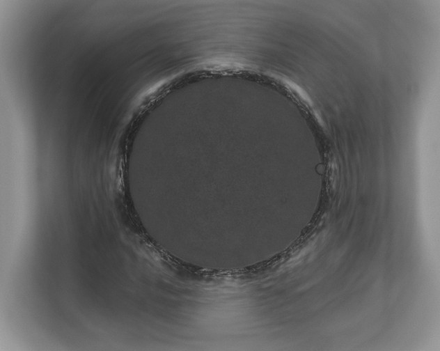 X0000111871016200907301112