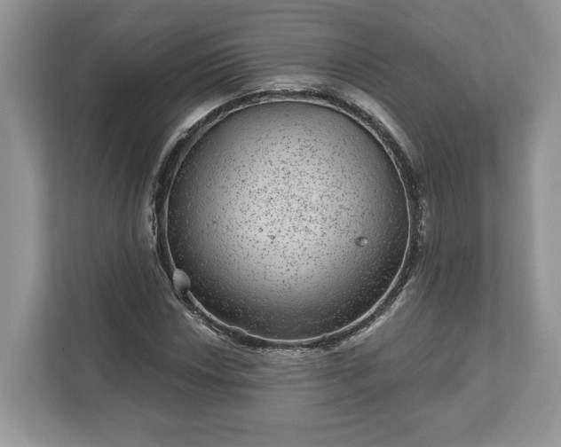 X0000111871018200907301112