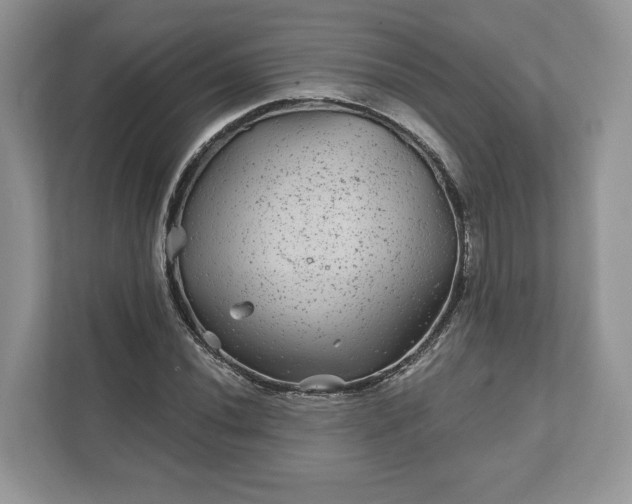 X0000111871020200907301112