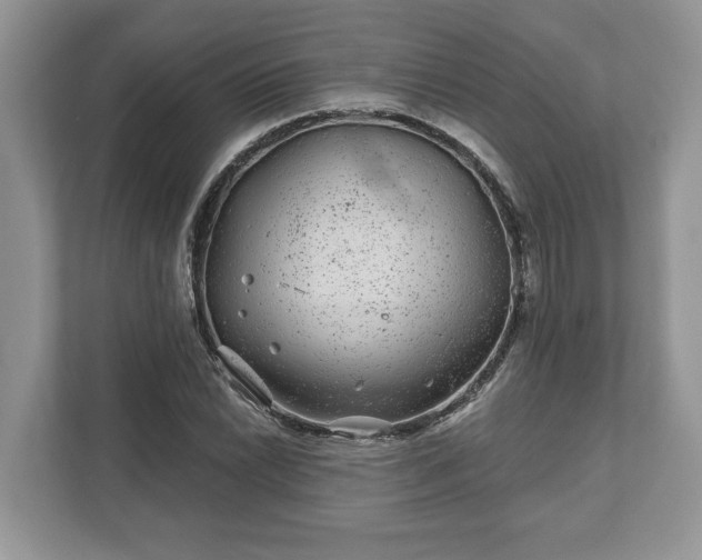 X0000111871022200907301112