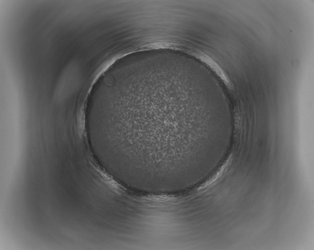 X0000111871023200907301112